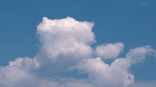 Imágenes de lapso de tiempo de rápido movimiento blanco hinchado cúmulo nubes en el cielo azul claro — Vídeos de Stock