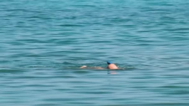 Unrecognizable man swimming with snorkeling breathing mask under sea water surface — Stock Video