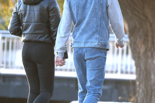 Zadní pohled na mladý pár chůze na ulici města těší čas spolu — Stock fotografie