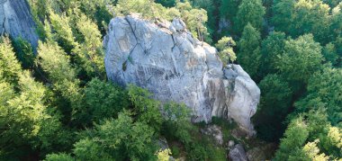 Parlak manzaranın panoramik manzarası. Yazın sık ağaçlar arasında yeşil orman ağaçları ve büyük kayalık kayalar. Vahşi ormanın güzel manzarası