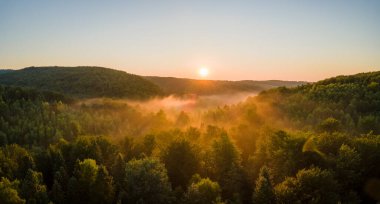 Parlak yaz günbatımında karanlık orman ağaçları üzerinde canlı sisli bir akşam. Alacakaranlıkta vahşi ormanın inanılmaz manzarası