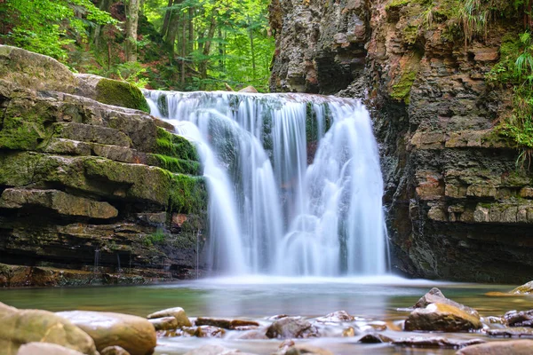 Yaz ormanlarında kayalık oluşumdan dökülen köpüklü suyla birlikte dağ nehrine dökülen şelale.