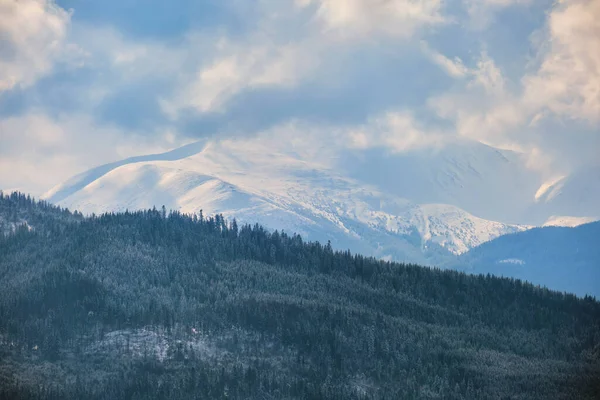 Winterlandschaft mit sprossen Bäumen aus schneebedecktem Wald in kalten Bergen — Stockfoto