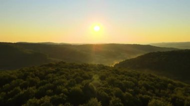 Aydınlık yaz gündoğumunda karanlık orman ağaçları üzerinde canlı sisli bir sabah. Şafak vakti vahşi ormanın muhteşem manzarası