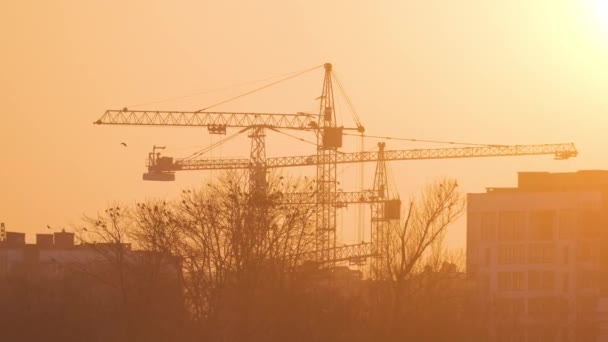 Donker silhouet van torenkranen bij hoge residentiële flatgebouwen bouwplaats bij zonsondergang. Ontwikkeling van onroerend goed — Stockvideo