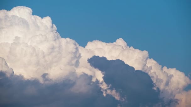 Zeitraffer aus weißen, geschwollenen Kumuluswolken, die sich am sommerblauen Himmel bilden. Bewegendes und sich änderndes Wolkenbild-Wetter — Stockvideo