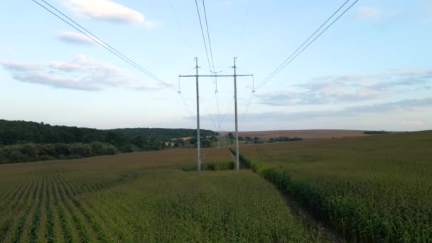 Wieża z liniami elektroenergetycznymi do przesyłu energii elektrycznej wysokiego napięcia znajdującej się na polu kukurydzy rolniczej. Dostawa koncepcji energii elektrycznej — Wideo stockowe