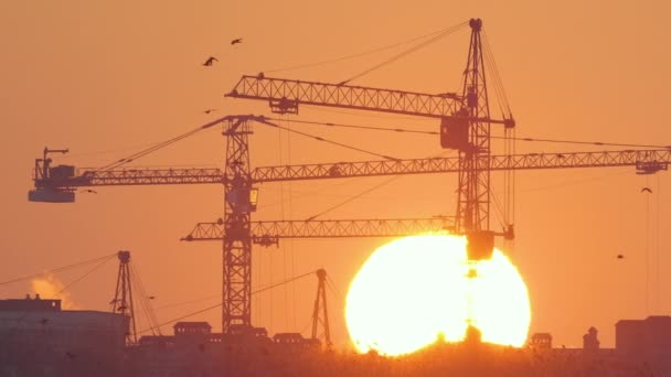 Dark silhouette of tower cranes with big setting sun at high residential apartment buildings construction site at sunset. Real estate development — Stock Video