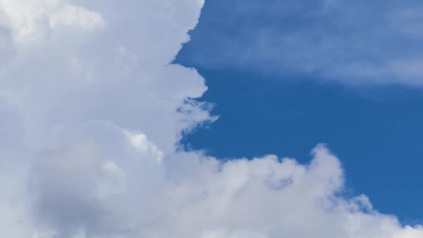 Zeitraffer aus weißen, geschwollenen Kumuluswolken, die sich am sommerblauen Himmel bilden. Bewegendes und sich änderndes Wolkenbild-Wetter — Stockvideo