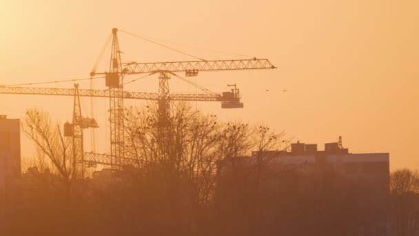 Gün batımında yüksek apartmanlı inşaat alanındaki vinçlerin koyu renkli silueti. Gayrimenkul geliştirme — Stok video