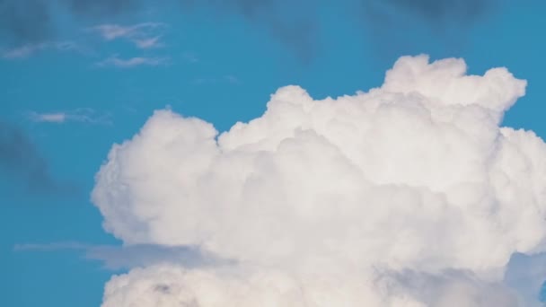 Včasná záplava bílých nafouklých hromadných mraků tvořících se na letní modré obloze. Pohybující se a měnící se oblačnost — Stock video
