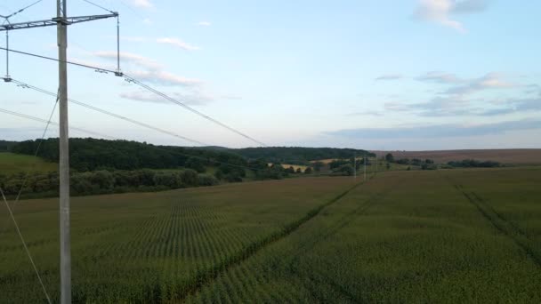 Toren met elektrische leidingen voor de overdracht van hoogspanningsstroom gelegen in landbouwmaïsveld. Levering van het concept elektrische energie — Stockvideo