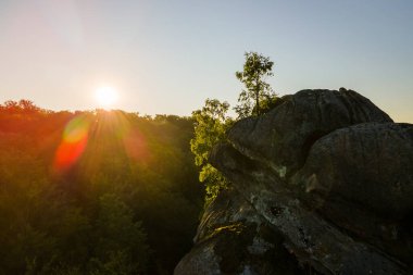 Karanlık orman ağaçları ve ılık yaz gündoğumunda kayalıkların üzerindeki parlak sisli sabahı gösteren hava manzarası. Şafak vakti vahşi ormanın güzel manzarası