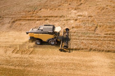 Buğday tarlasını hasat eden hasatçının hava görüntüsü. İHA görünümünden tarım