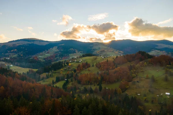 Vista aérea de aldeia distante com pequenas casas de pastor em prados de colina largos entre árvores de floresta de outono em montanhas Cárpatas ucranianas ao pôr do sol — Fotografia de Stock