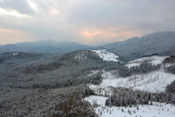 춥고 고요 한 저녁에 폭설이 내리고 산 이 울창 한 소나무 숲으로 뒤덮인 겨울 풍경을 공중에서 내려다본 모습 — 스톡 사진