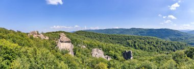 Parlak manzaranın panoramik manzarası. Yazın sık ağaçlar arasında yeşil orman ağaçları ve büyük kayalık kayalar. Vahşi ormanın güzel manzarası