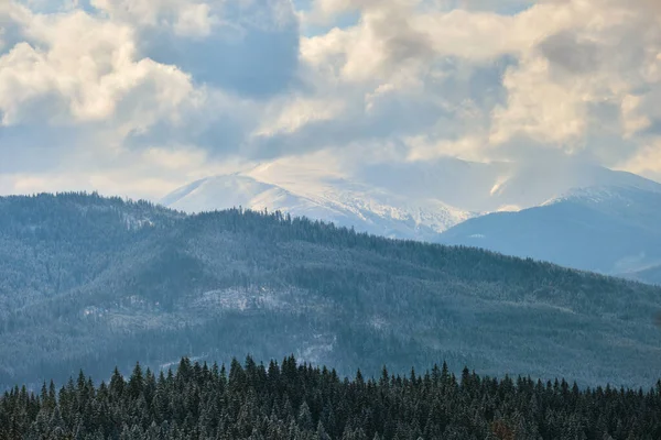 寒い山の中で雪に覆われた森の春の木と冬の風景 — ストック写真