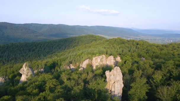 Luftaufnahme einer hellen Landschaft mit grünen Waldbäumen und großen Felsbrocken zwischen dichten Wäldern im Sommer. Schöne Landschaft mit wilden Wäldern — Stockvideo