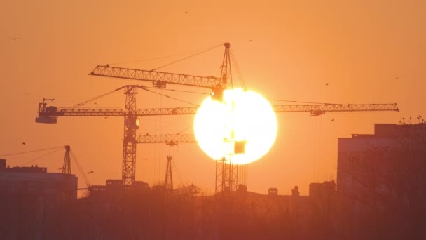 Gün batımında yüksek apartman binalarının inşaat sahasında büyük batan güneşli kule vinçlerinin koyu gölgesi. Gayrimenkul geliştirme — Stok video