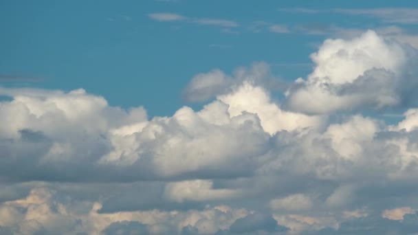 Time lapse filmato di veloce movimento bianco nuvole cumulus gonfi sul cielo blu chiaro — Video Stock