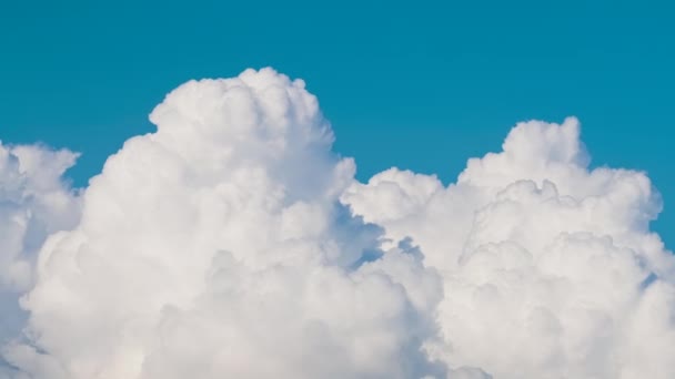 Timelapse of white puffy cumulus clouds forming on summer blue sky. Moving and changing cloudscape weather — 图库视频影像