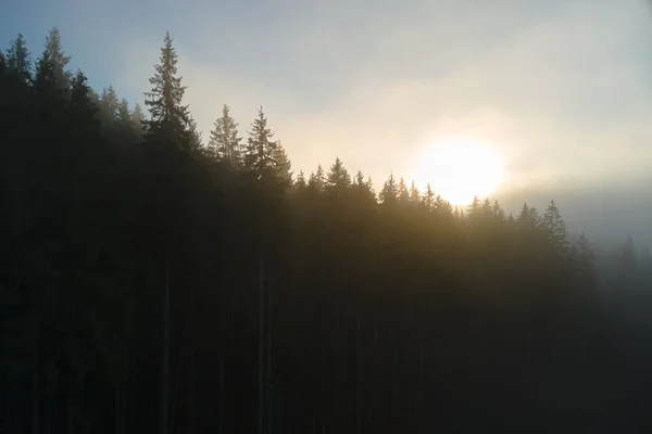 Légi kilátás fényes ködös reggel felett sötét hegyi erdők őszi napkeltekor. Gyönyörű táj vadon élő erdők hajnalban — Stock Fotó
