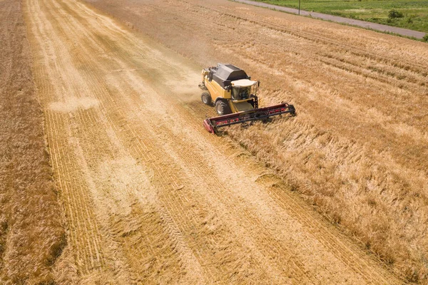 Luftaufnahme eines Mähdreschers bei der Ernte eines großen reifen Weizenfeldes. Landwirtschaft aus Drohnensicht — Stockfoto