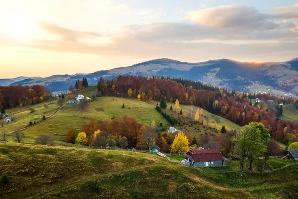 Vista aérea de aldeia distante com pequenas casas de pastor em prados de colina largos entre árvores de floresta de outono em montanhas Cárpatas ucranianas ao pôr do sol — Fotografia de Stock