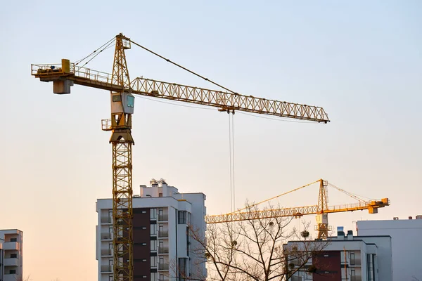 Yüksek konutlu apartman şantiyesindeki vinçler. Gayrimenkul geliştirme