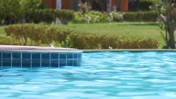 Голубая чистая вода с небольшой рябью в бассейне на курорте Аль. Концепция летнего отдыха — стоковое видео