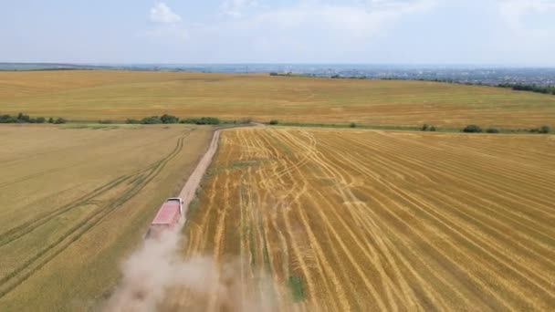 Vue aérienne d'un camion-citerne circulant sur un chemin de terre entre des champs de blé agricole. Transport du grain après récolte par moissonneuse-batteuse pendant la saison de récolte — Video