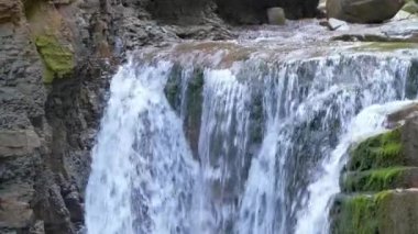 Yaz ormanlarında kayalık oluşumdan dökülen köpüklü suyla birlikte dağ nehrine dökülen şelale.