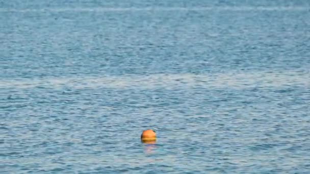 Sárga bója úszkál a tenger felszínén, mint a trópusi üdülőhely mélyvízi úszási korlátozásának jelzője. Az emberi életbiztonság fogalma — Stock videók