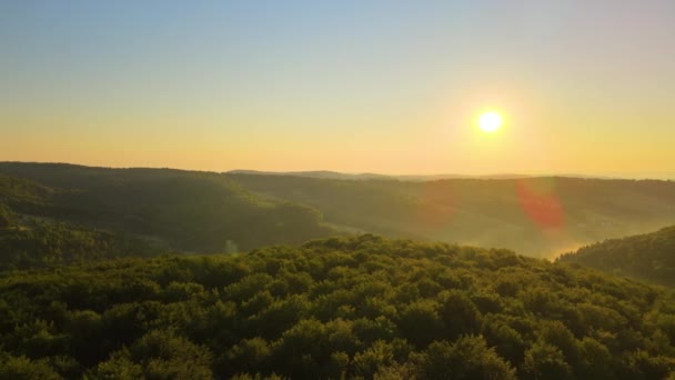 Vista aérea da manhã nebulosa brilhante sobre árvores da floresta escura no nascer do sol quente do verão. Bela paisagem de floresta selvagem ao amanhecer — Vídeo de Stock