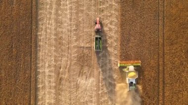 Buğday tarlasında hasat mevsiminde çalışan hasat ve kargo karavanının hava görüntüsü. Çiğ tahıl kavramının tarım ve taşımacılığı