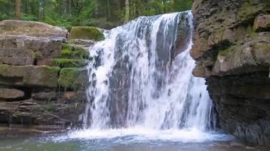 Yaz ormanlarında kayalık oluşumdan dökülen köpüklü suyla birlikte dağ nehrine dökülen şelale.