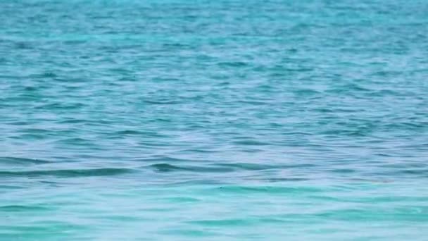 Primer plano de la superficie del paisaje marino de agua de mar azul con pequeñas olas onduladas — Vídeos de Stock