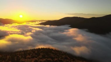 Sonbahar gündoğumunda sisli, karanlık dağ ormanlarının çam ağaçlarının olduğu muhteşem manzaranın havadan görüntüsü. Şafak vakti ışıldayan ışıklarıyla güzel vahşi ormanlık