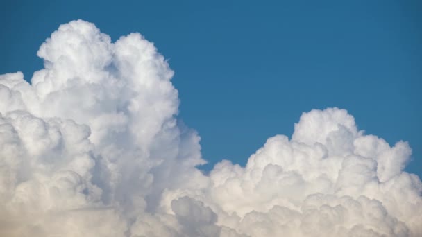 Zeitraffer aus weißen, geschwollenen Kumuluswolken, die sich am sommerblauen Himmel bilden. Bewegendes und sich änderndes Wolkenbild-Wetter — Stockvideo