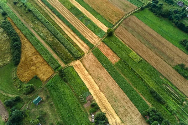 Aerial landscape view of green cultivated agricultural fields with growing crops on bright summer day — Stock Photo, Image