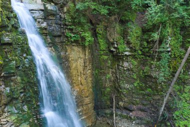 Yaz ormanlarında kayalık oluşumdan dökülen köpüklü suyla birlikte dağ nehrine dökülen şelale.