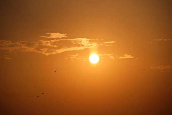 Strahlend bunter Abendhimmel mit Sonnenstrahlen und Vogelscharen, die gegen die untergehende Sonne fliegen — Stockfoto