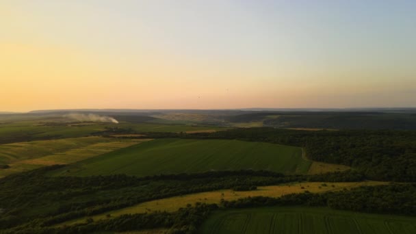 Aerial landscape view of green cultivated agricultural fields with growing crops on bright summer evening — Stock Video