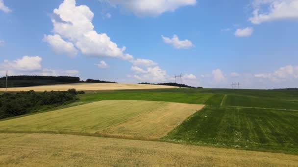 Воздушный пейзаж зеленых сельскохозяйственных полей с выращиванием зерновых культур в яркий летний вечер — стоковое видео