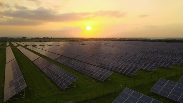 Luchtfoto van een grote duurzame elektriciteitscentrale met rijen fotovoltaïsche zonnepanelen voor het produceren van schone elektrische energie in de avond. Concept van hernieuwbare elektriciteit zonder uitstoot — Stockvideo