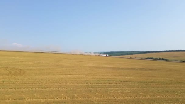 Vista aérea del camión de carga conduciendo en el camino de tierra entre campos de trigo agrícola. Transporte de grano después de ser cosechado por cosechadora durante la temporada de cosecha — Vídeo de stock