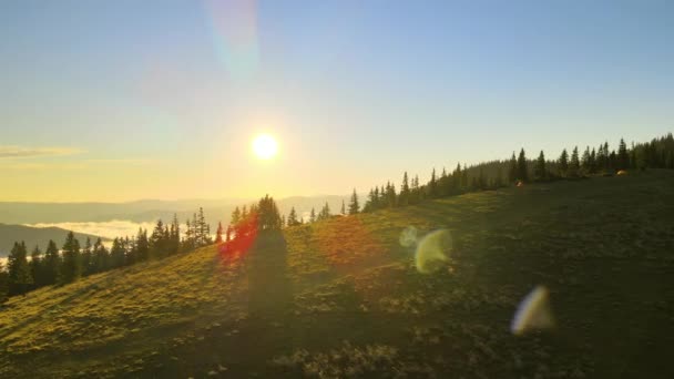 阳光灿烂的夜晚,空中俯瞰高山营地上的旅游露营帐篷.积极旅游和远足的概念 — 图库视频影像
