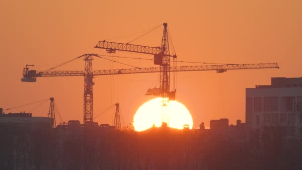 Mörk siluett av tornkranar med stor nedgående sol på hög bostadslägenhet byggnader byggarbetsplats vid solnedgången. Fastighetsutveckling — Stockvideo