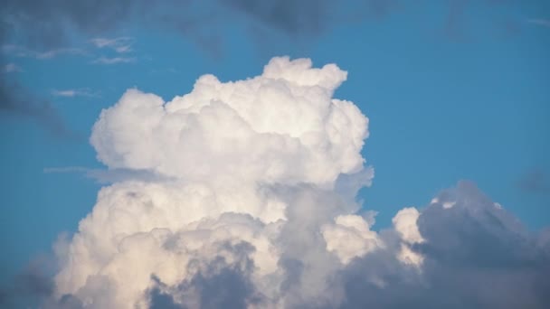 솜털같은 하얀 뭉게구름들 이 여름의 푸른 하늘에 뭉게뭉게 뭉쳐 있다. 구름낀 날씨의 이동 및 변화 — 비디오